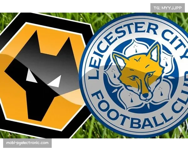 英超历史新纪录：狼队连续两赛季前十轮未尝胜绩